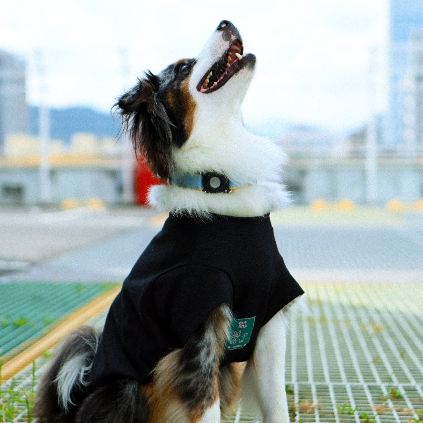 Plain Tee for Pets 寵物素短踢