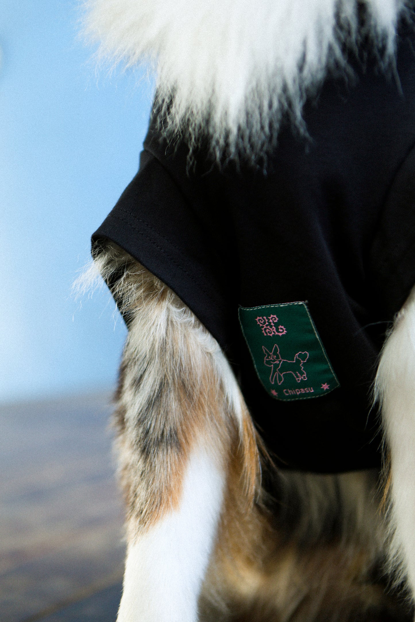 Plain Tee for Pets 寵物素短踢