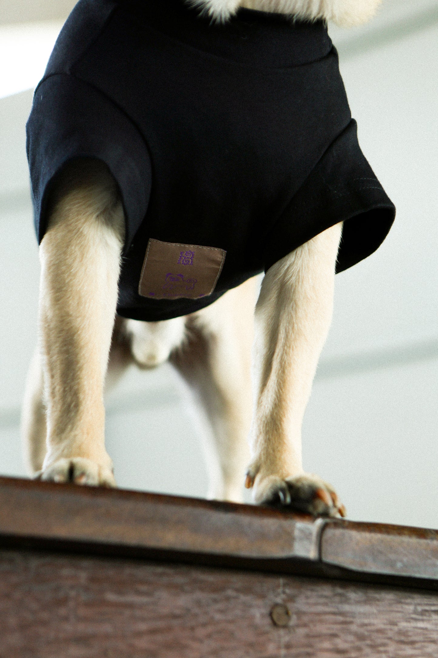 Plain Tee for Pets 寵物素短踢