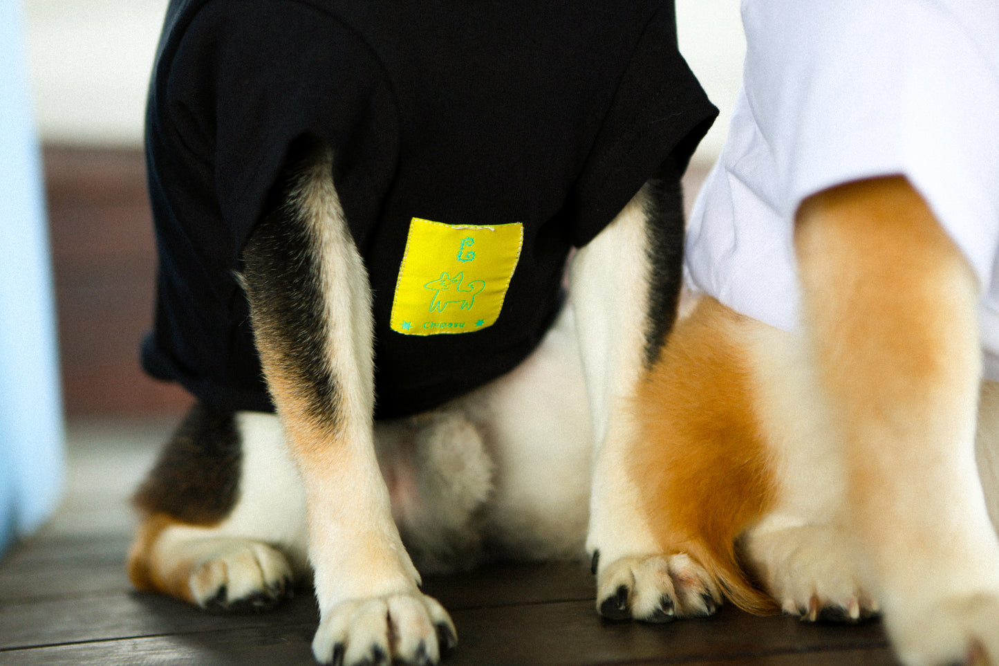 Plain Tee for Pets 寵物素短踢