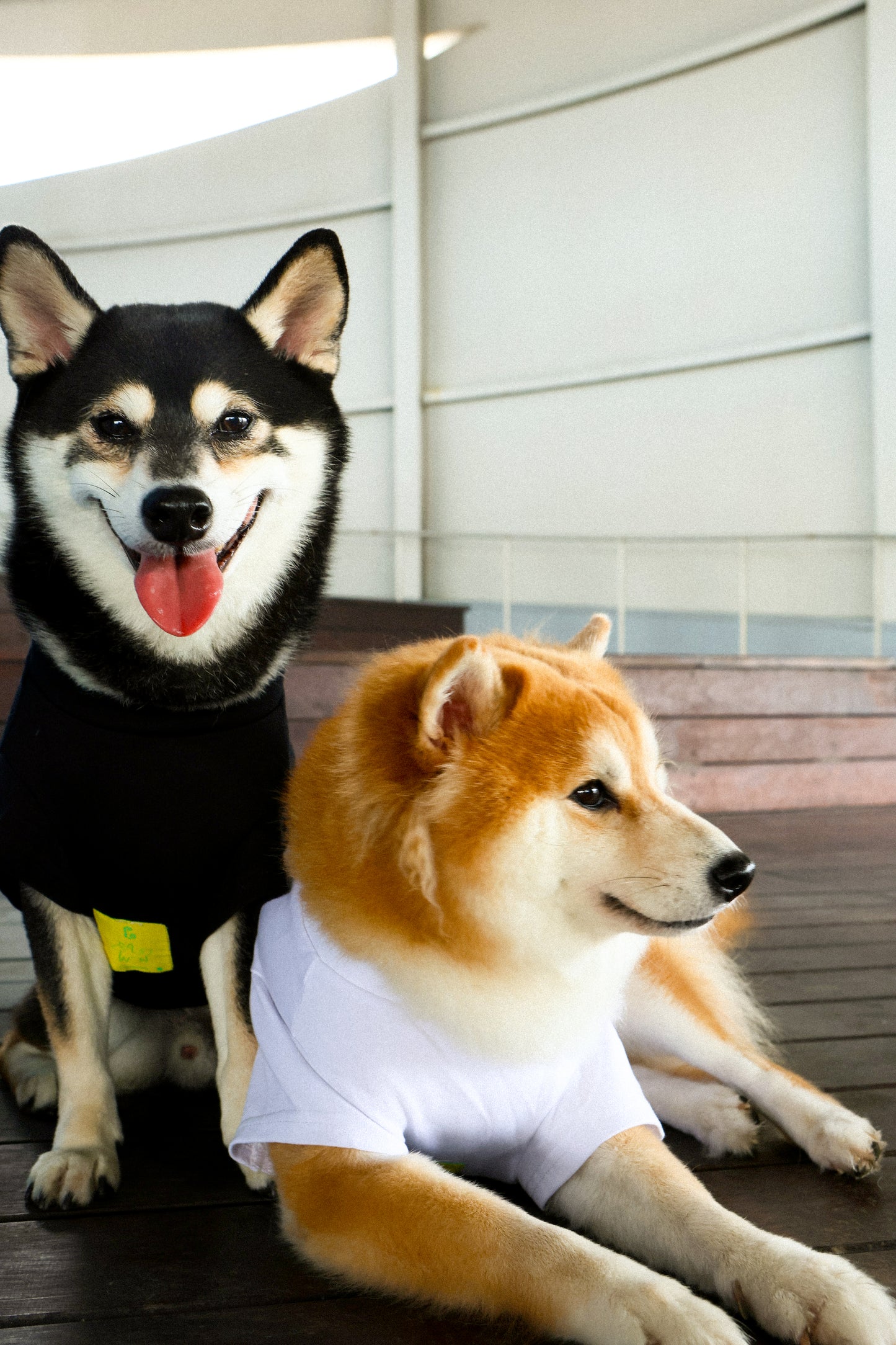 Plain Tee for Pets 寵物素短踢