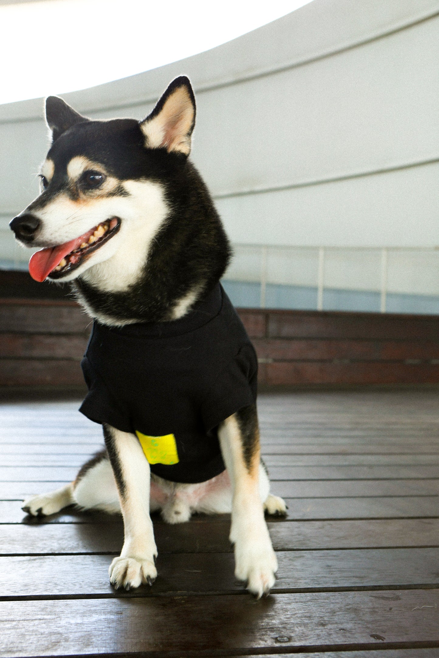 Plain Tee for Pets 寵物素短踢