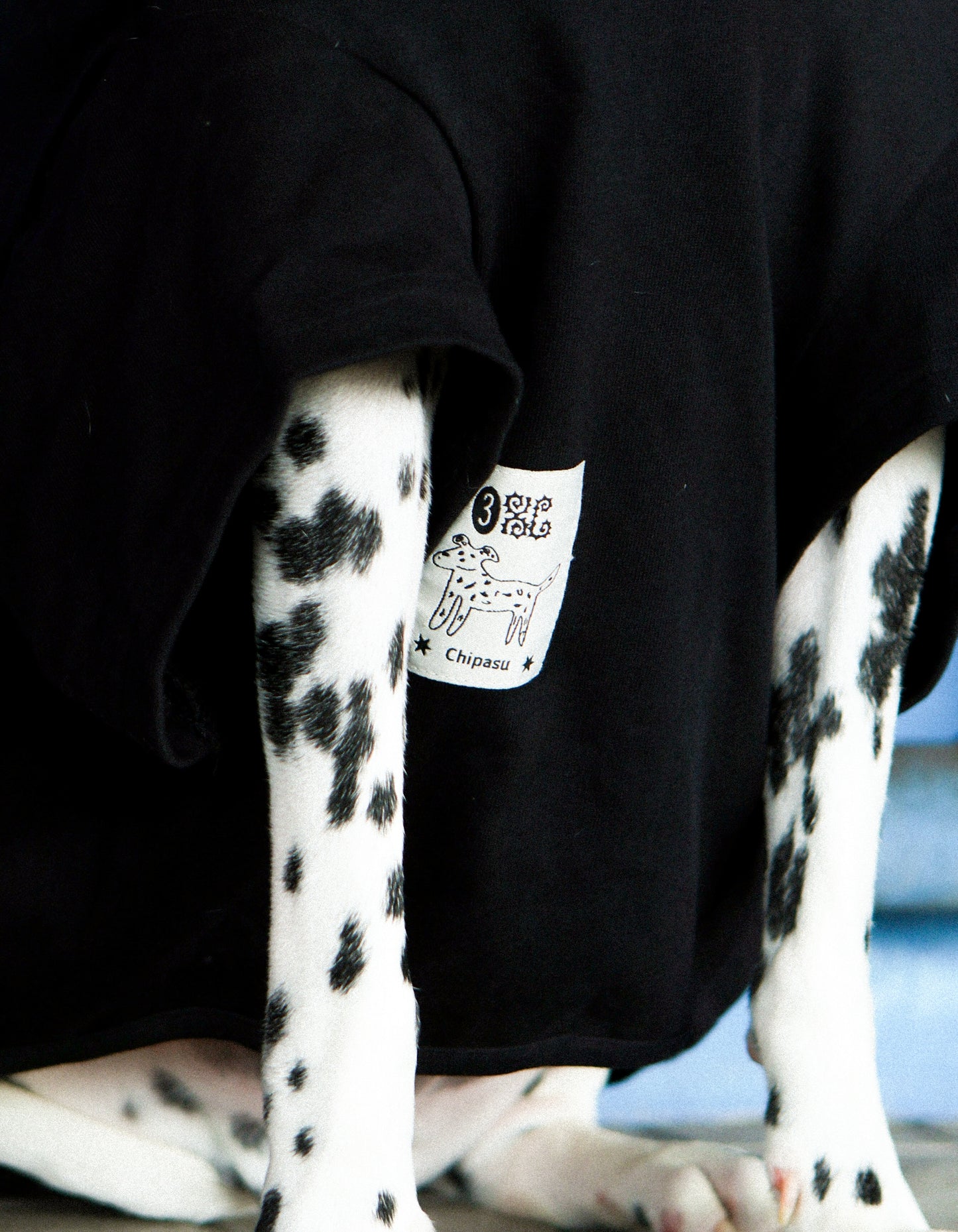 Plain Tee for Pets 寵物素短踢