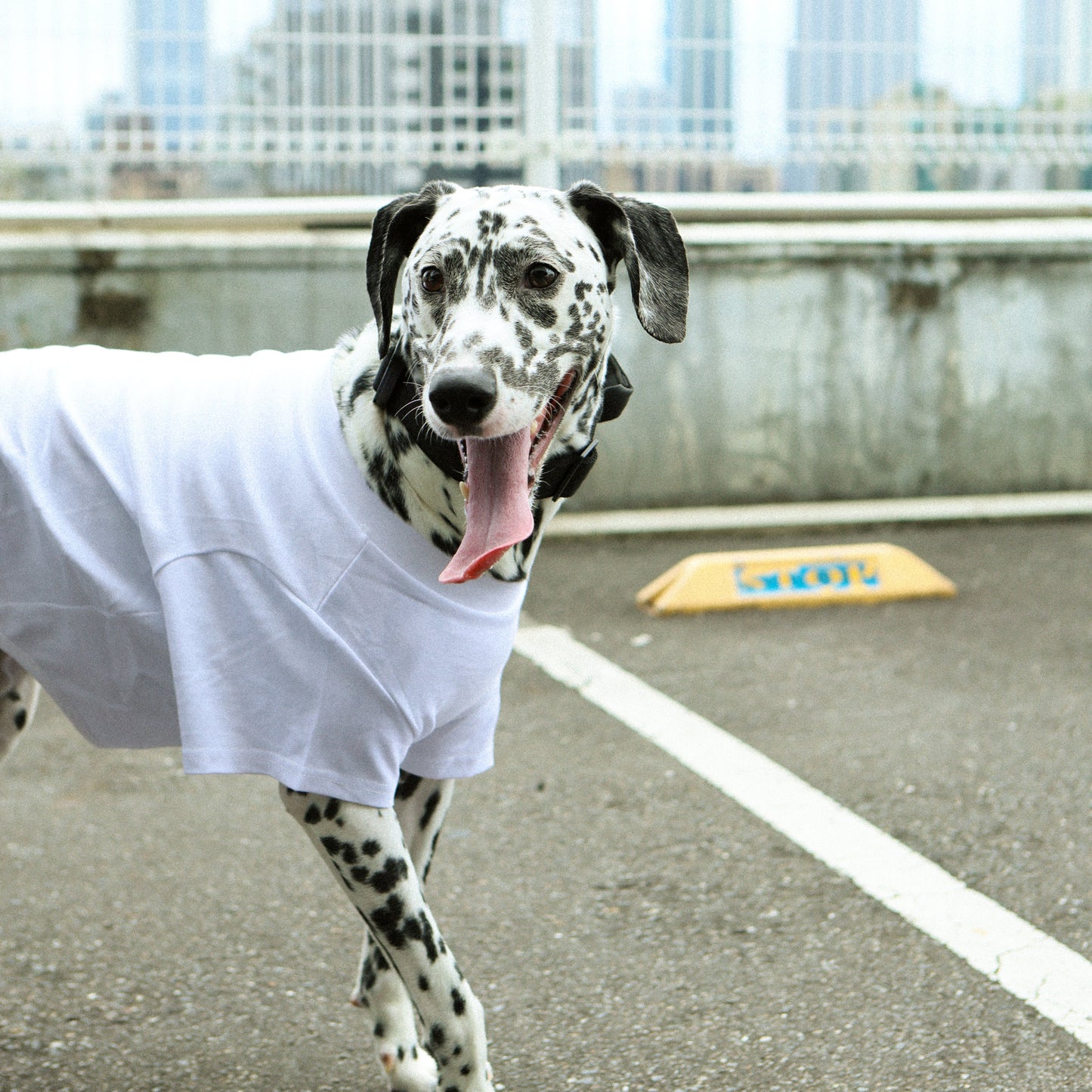 Plain Tee for Pets 寵物素短踢