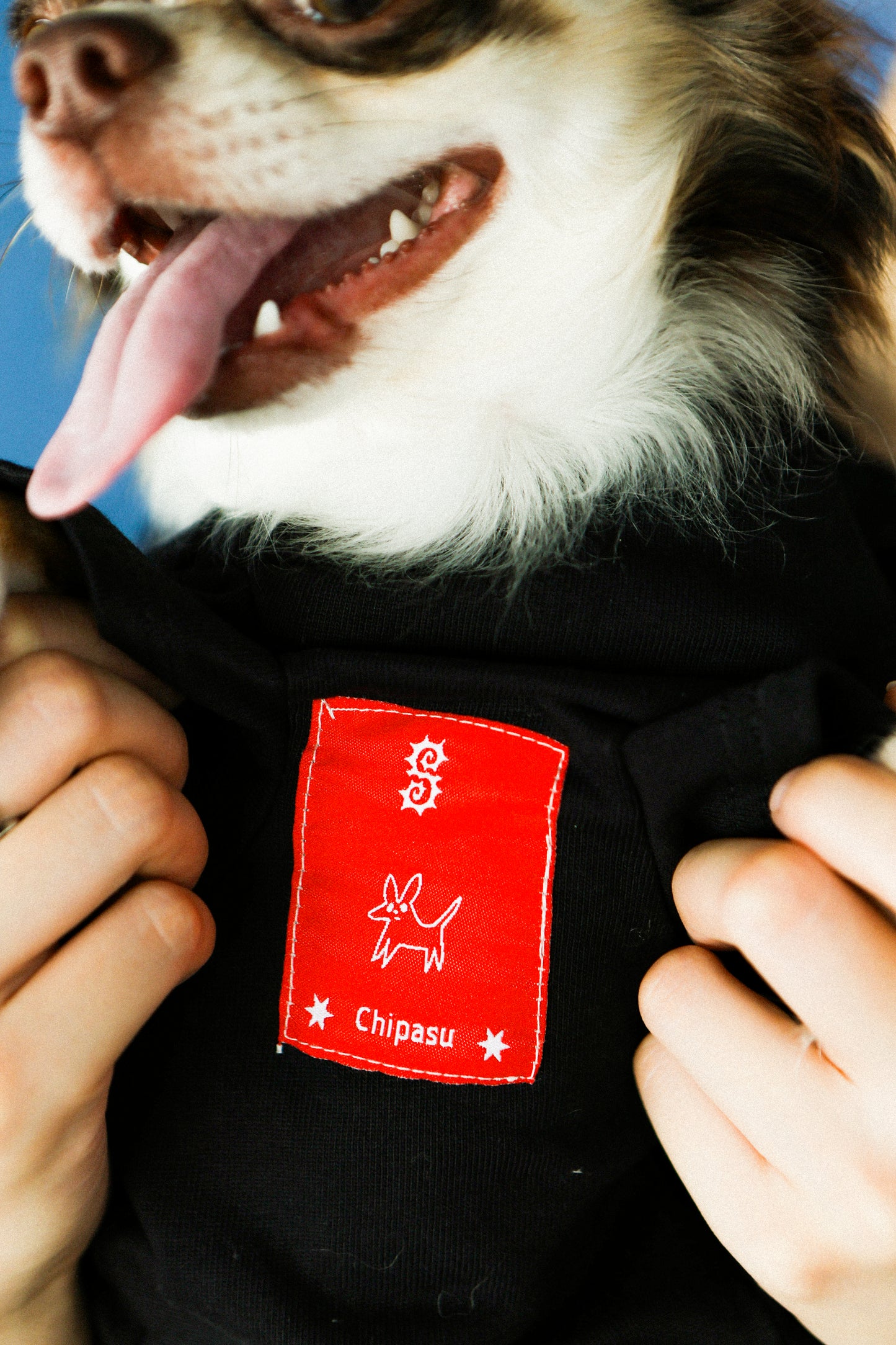 Plain Tee for Pets 寵物素短踢