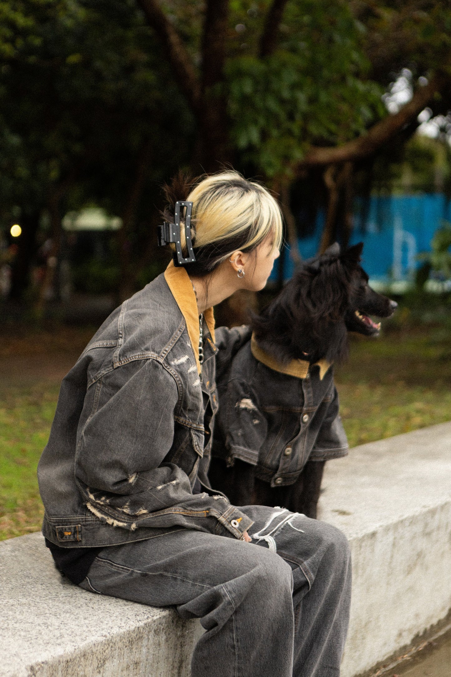 Storm Dog 寵物暴風狗