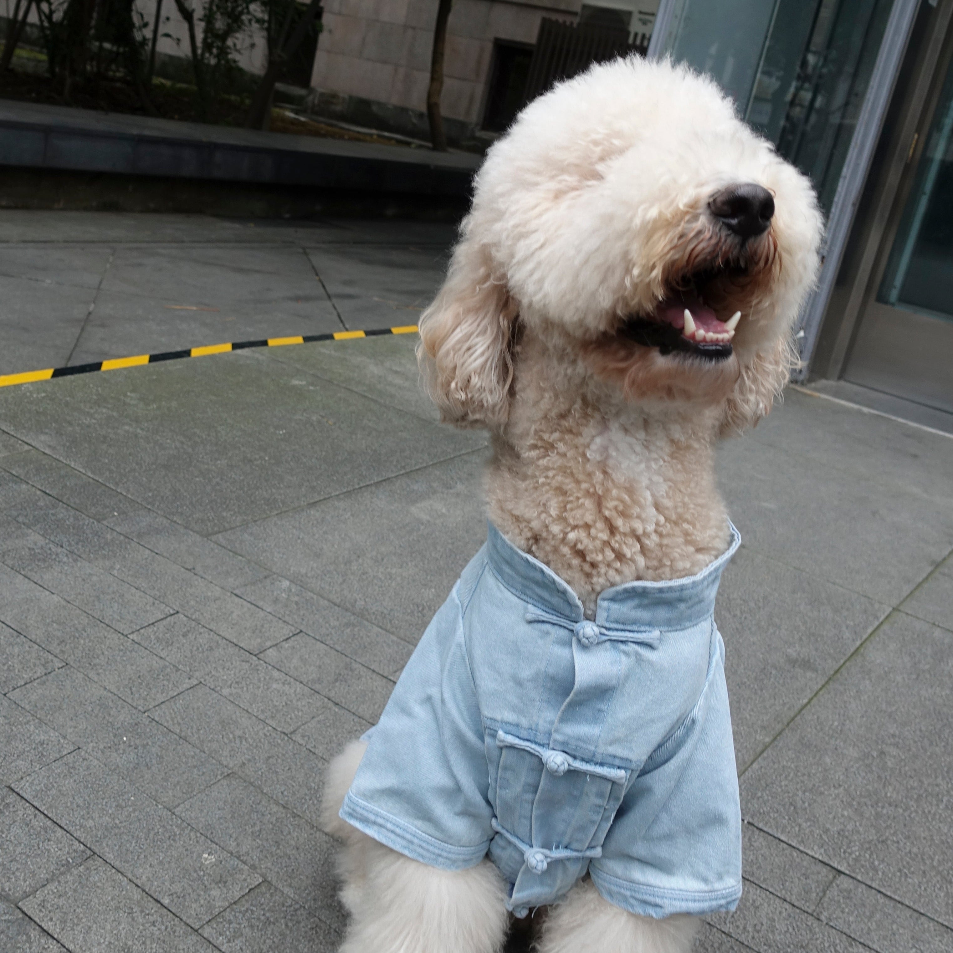 Type-P TANG 寵物唐裝丹寧外套