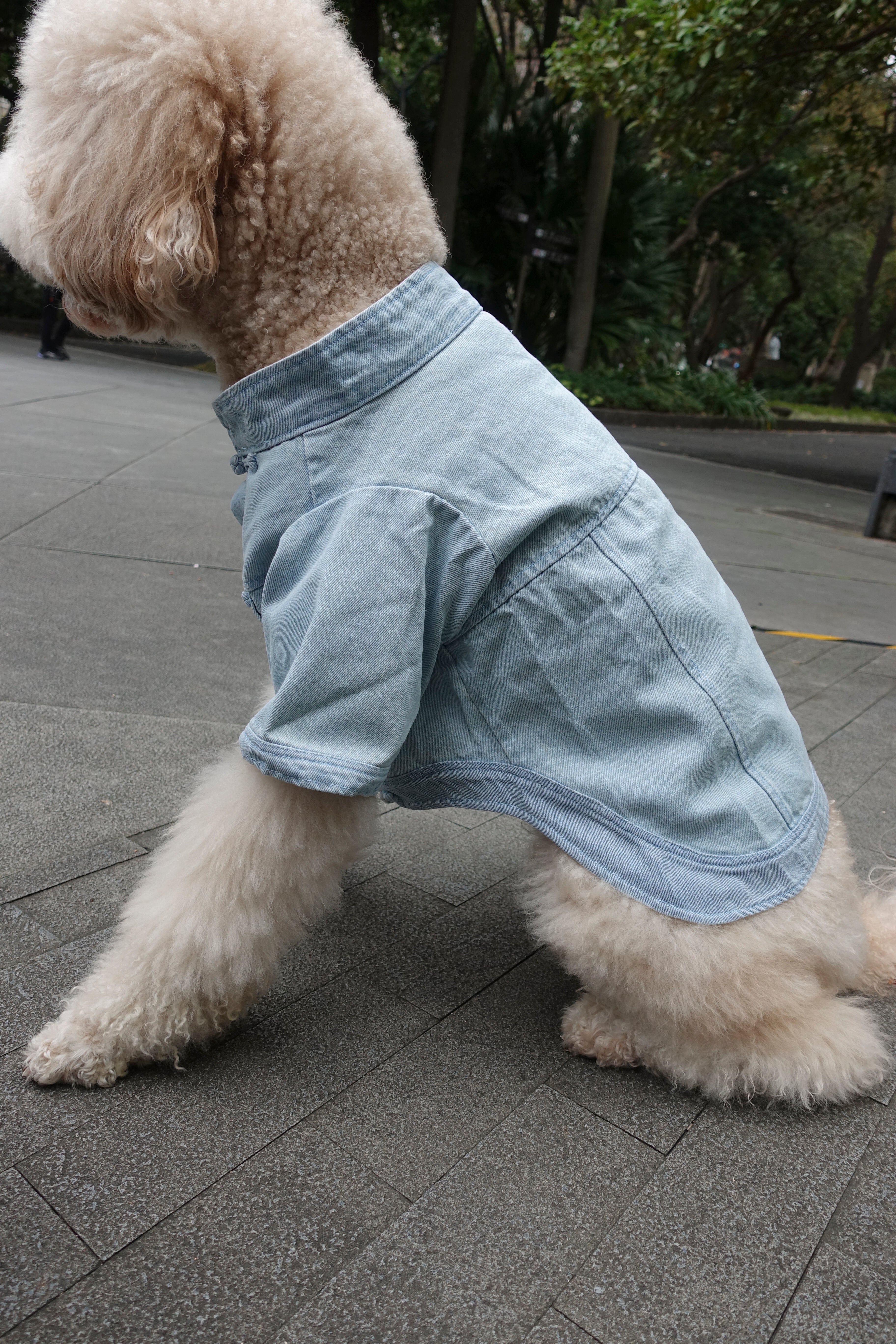 Type-P TANG 寵物唐裝丹寧外套