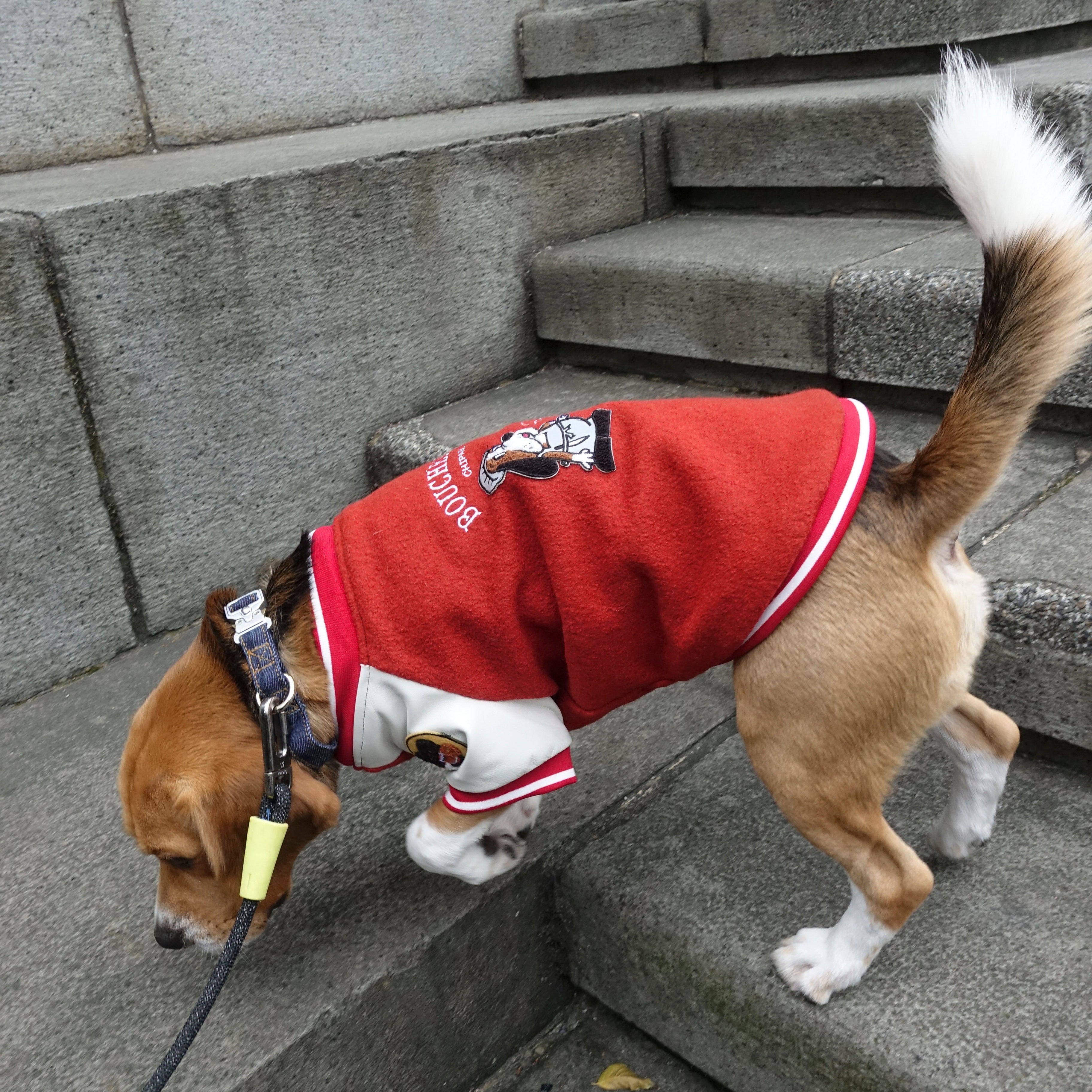 Boucherie Baseball Jacket 肉鋪狗狗棒球外套