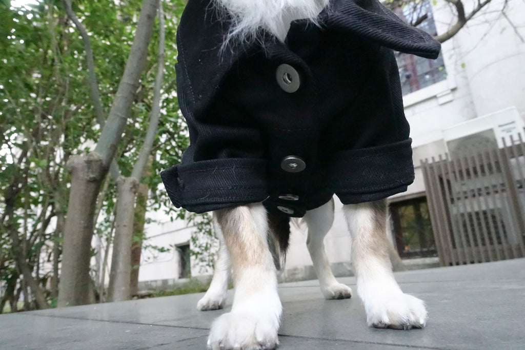 Type-P BLACK 寵物黑色丹寧外套