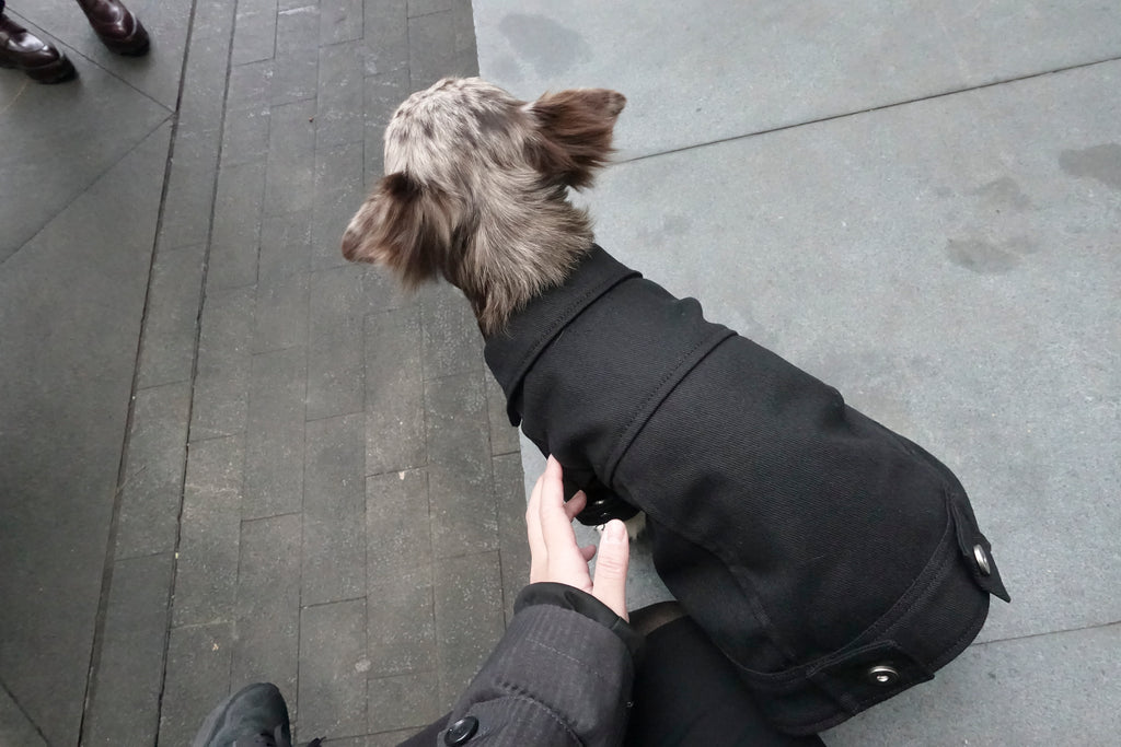 Type-P BLACK 寵物黑色丹寧外套