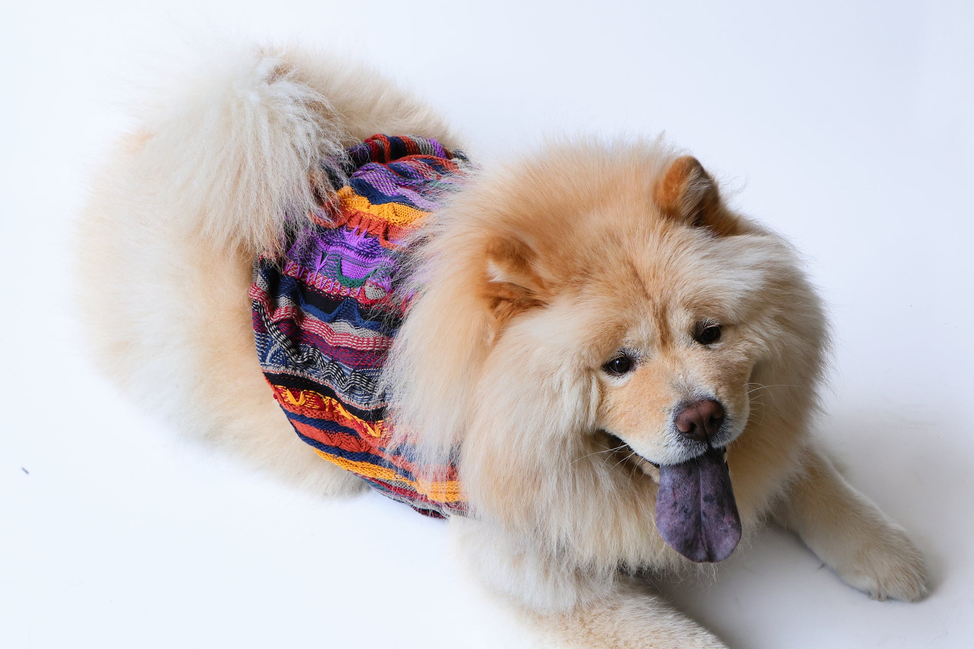 Notorious Sweater 苦瓜紋毛衣