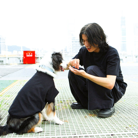 Plain Tee for Human 人類素短踢