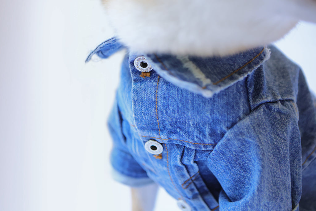 Type-P 5YR WASH 寵物五年水洗丹寧外套