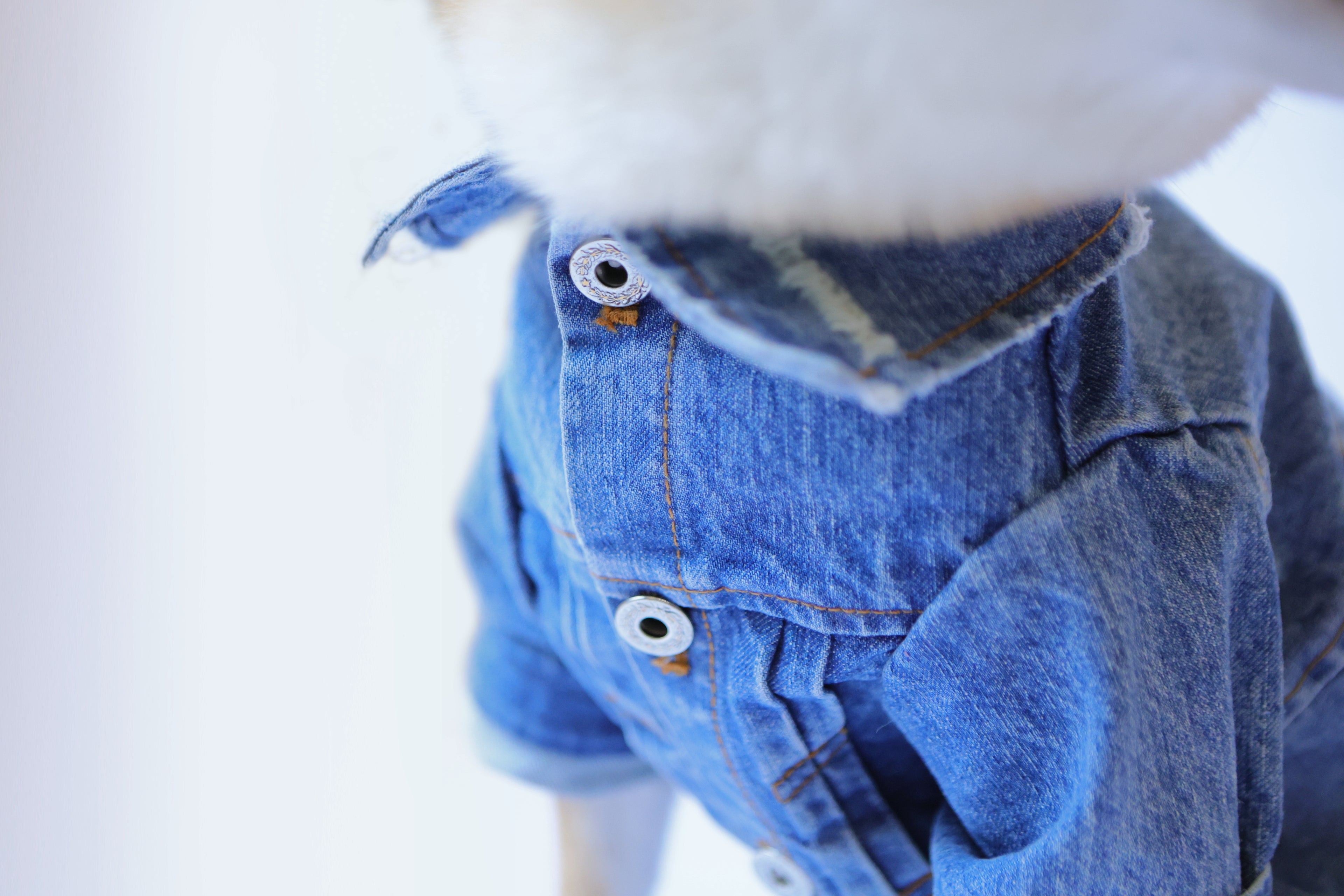 Type-P 5YR WASH 寵物五年水洗丹寧外套