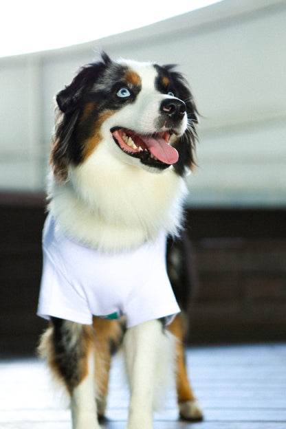 Plain Tee for Pets 寵物素短踢