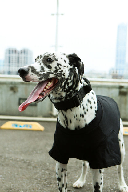 Plain Tee for Pets 寵物素短踢