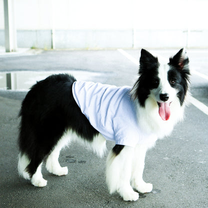 Plain Tee for Pets 寵物素短踢