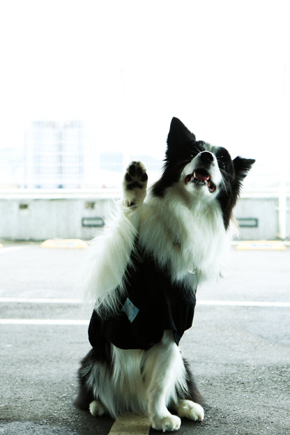 Plain Tee for Pets 寵物素短踢