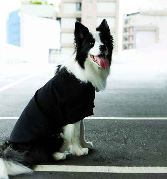 Plain Tee for Pets 寵物素短踢