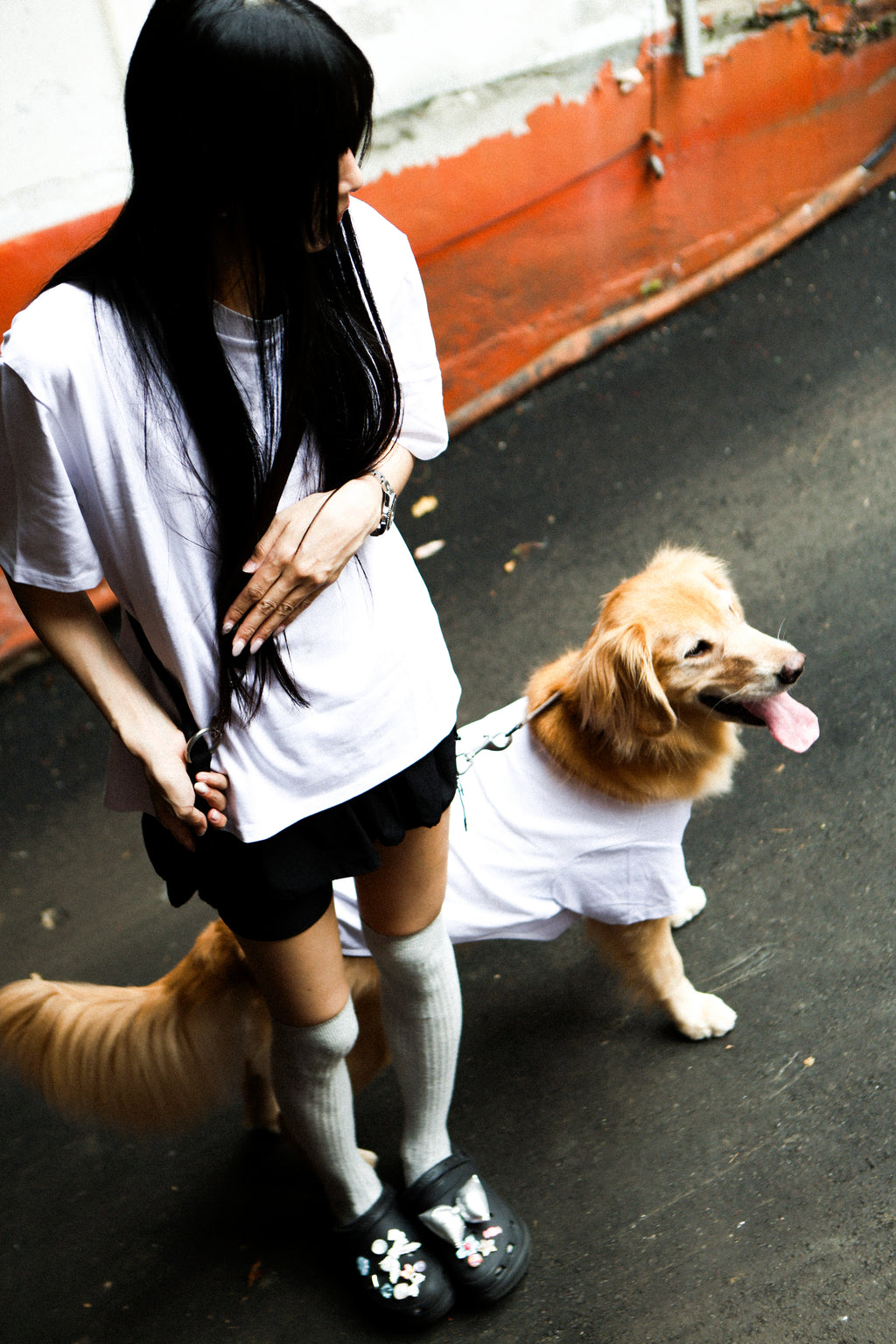プレーンTシャツ（人間用）