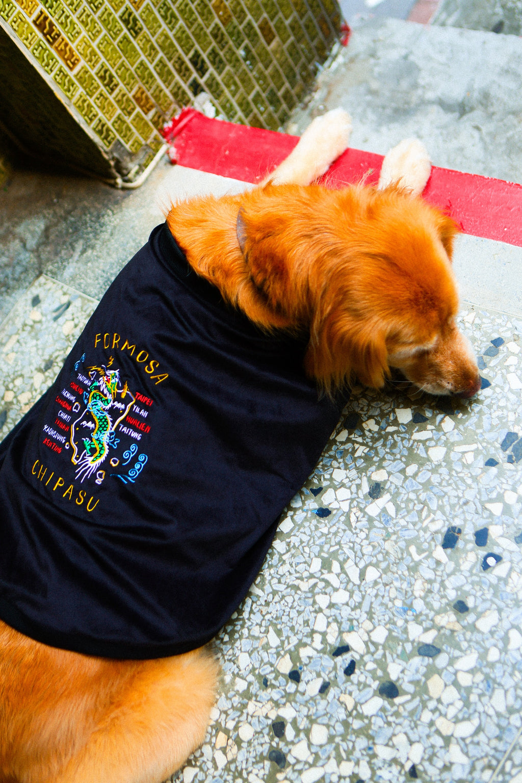 Tiger/ Formosa Sukajan 寵物橫須賀