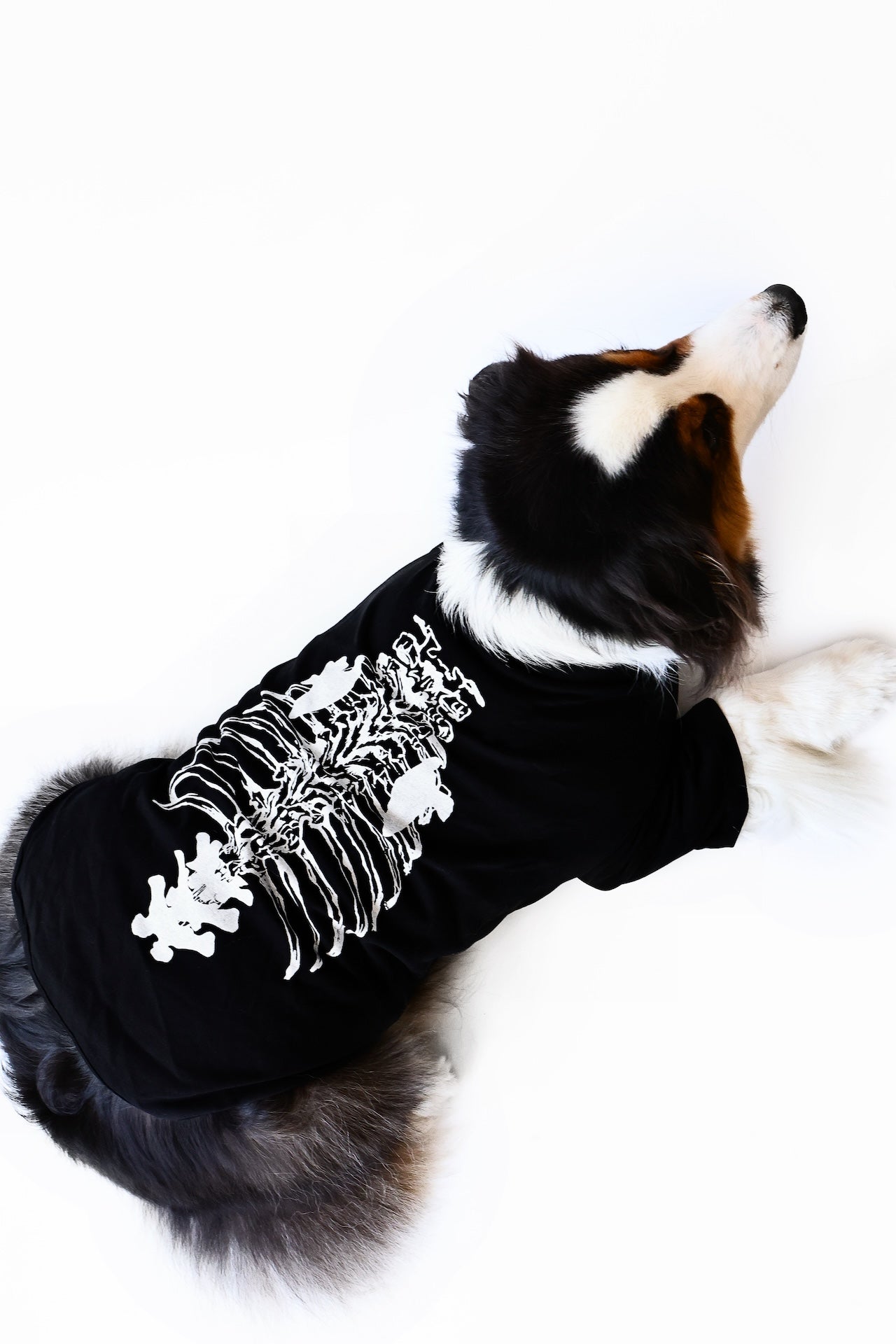Dog Anatomy Tee 狗短踢- 狗結構