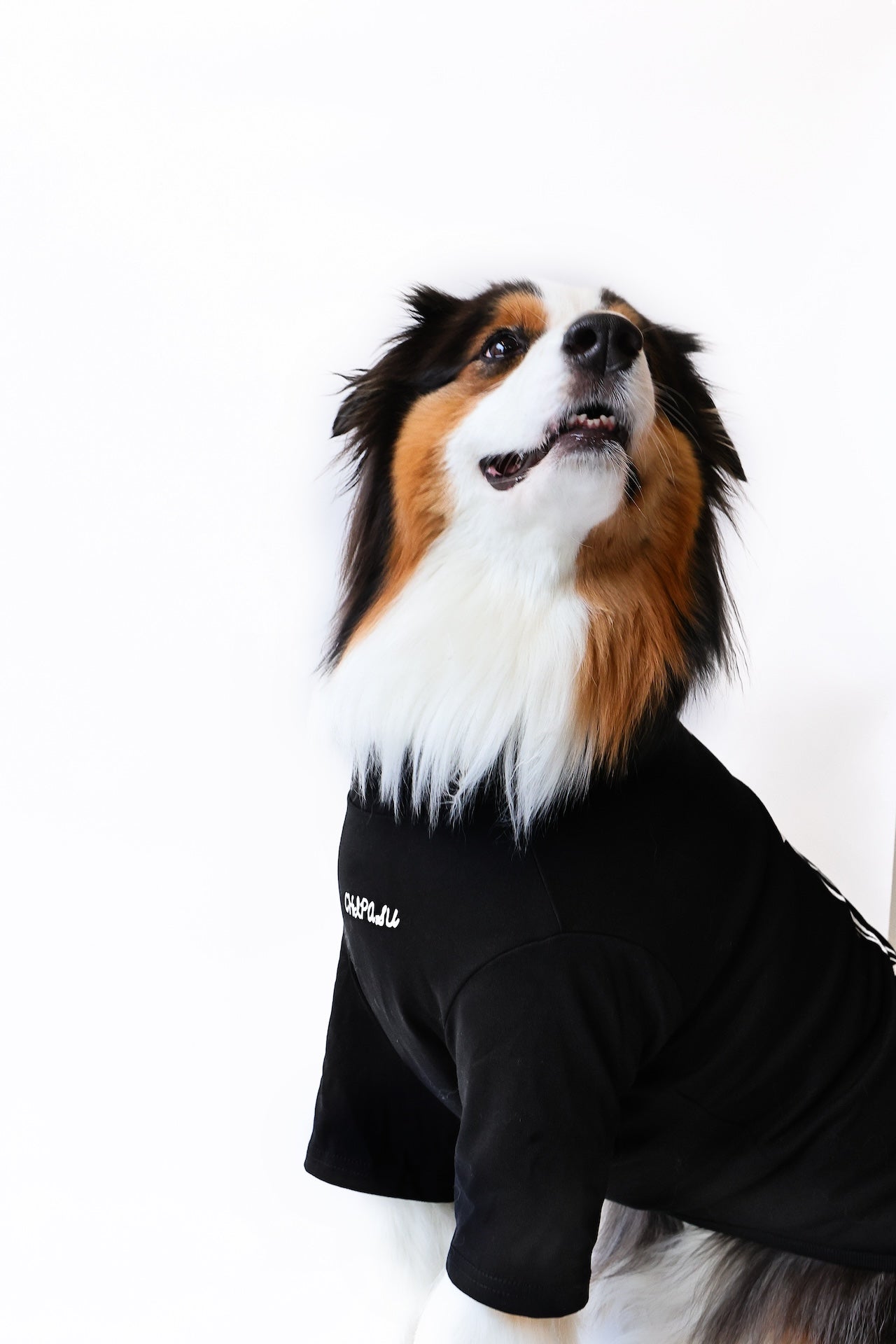 Dog Anatomy Tee 狗短踢- 狗結構