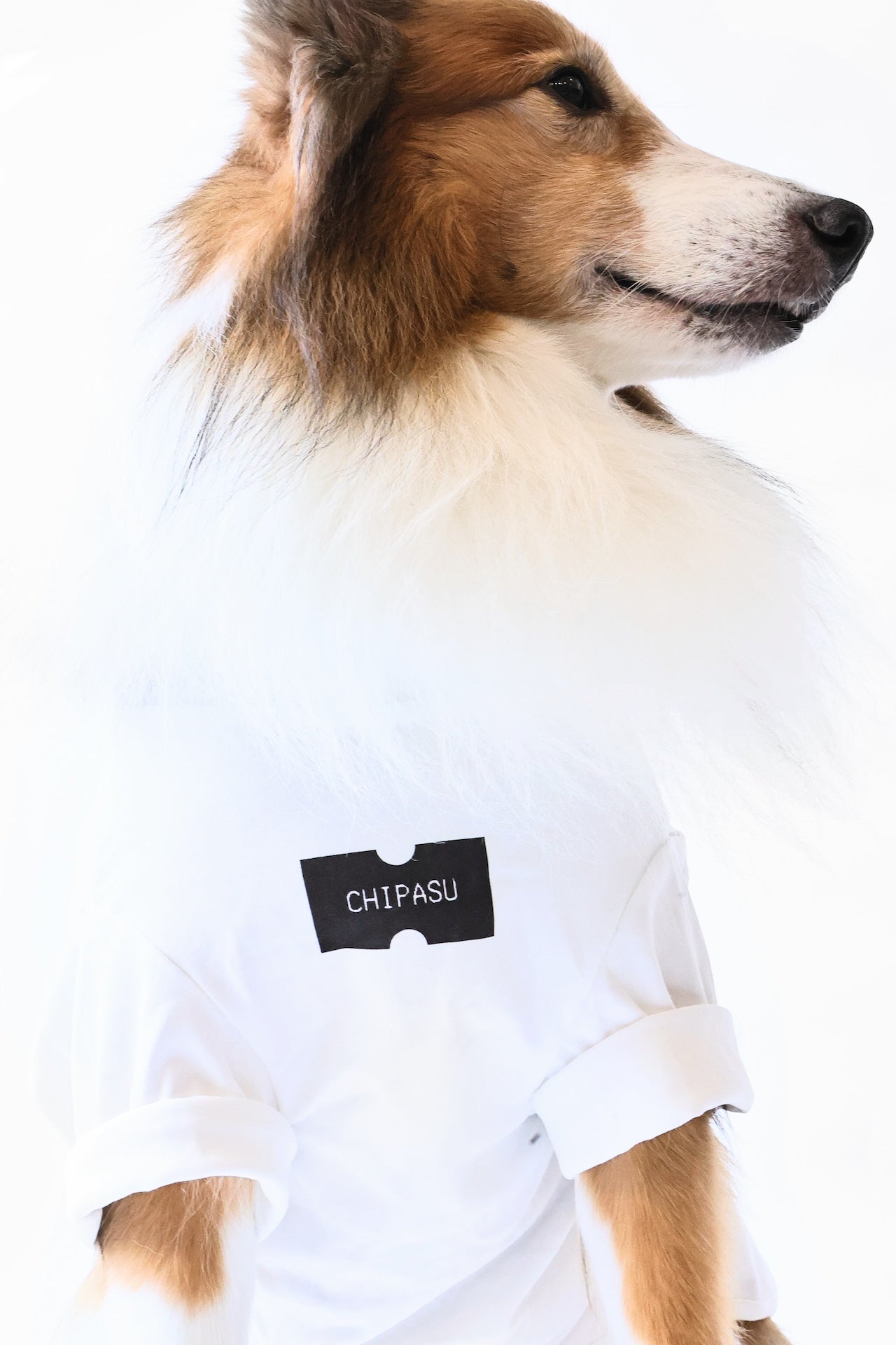 Receipt Tee 狗短踢- 收據