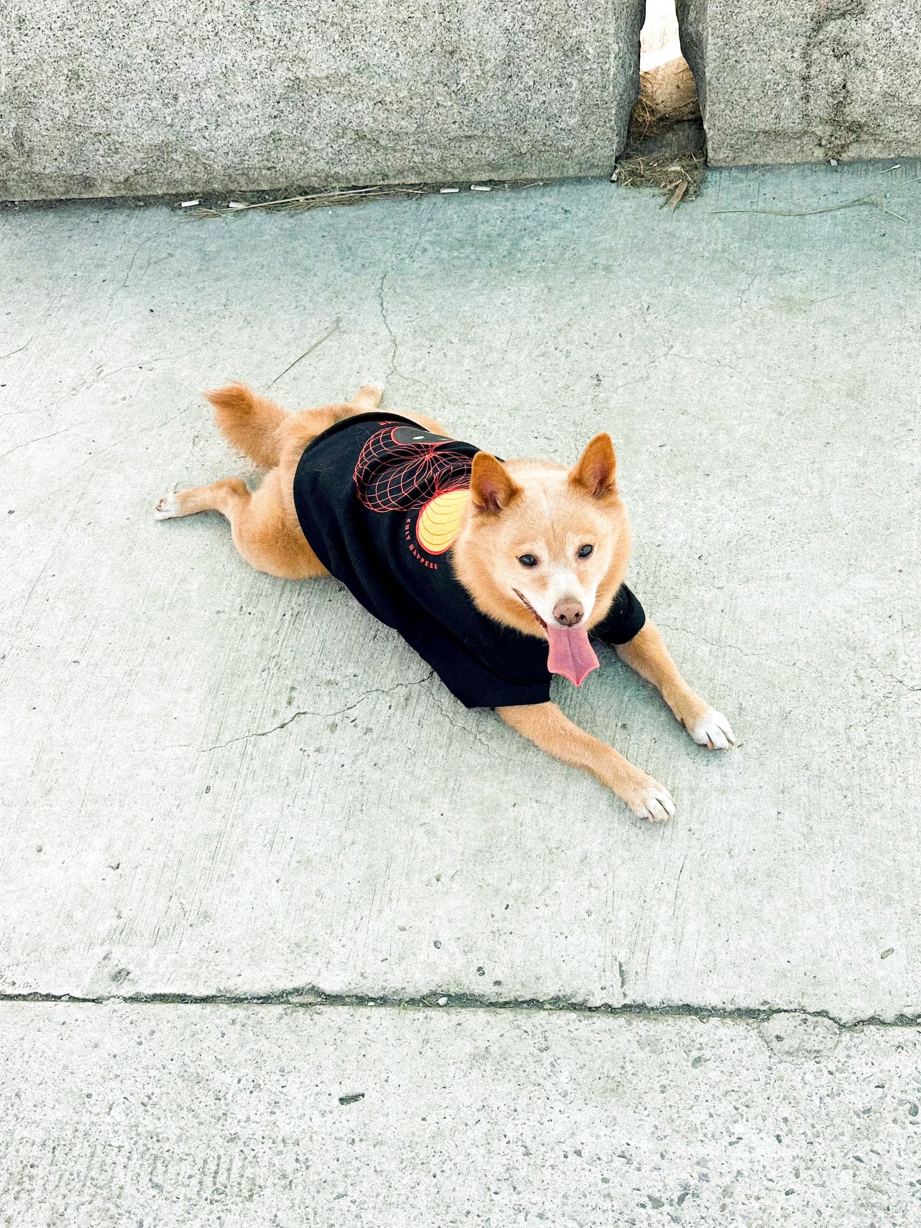 Chipasu x Aqua Kawayiyi 聯名親子短踢（毛孩＋人）