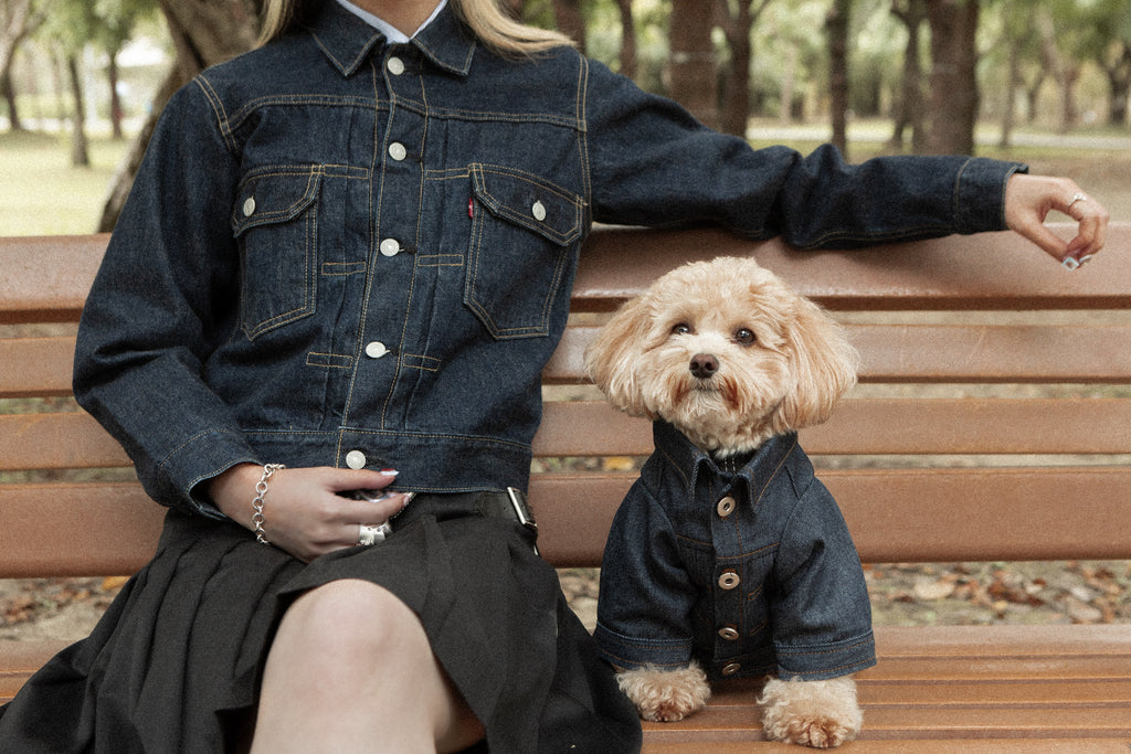 Type-P RAW 2.0 寵物原色丹寧外套 二代