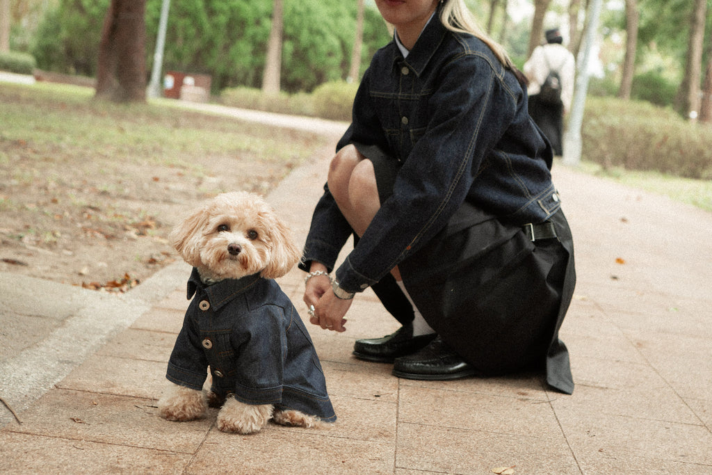 Type-P RAW 