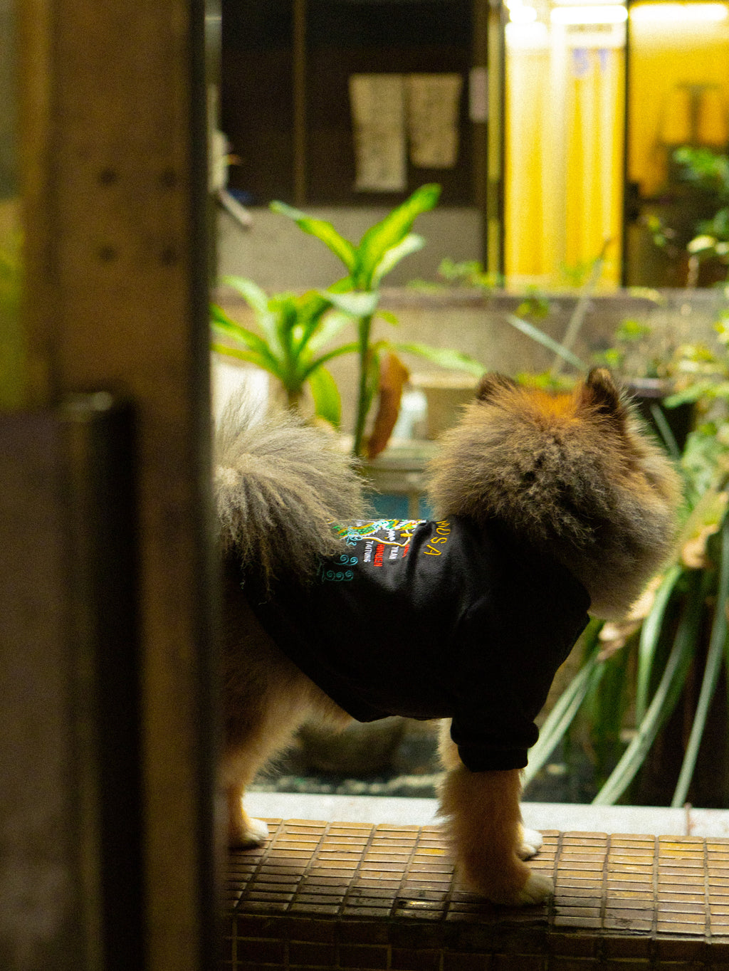 Tiger/ Formosa Sukajan 寵物橫須賀